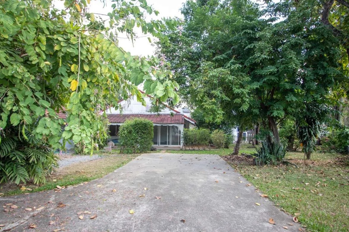  Land For Sale in Suthep, Mueang Chiang Mai, Chiang Mai - Image 1