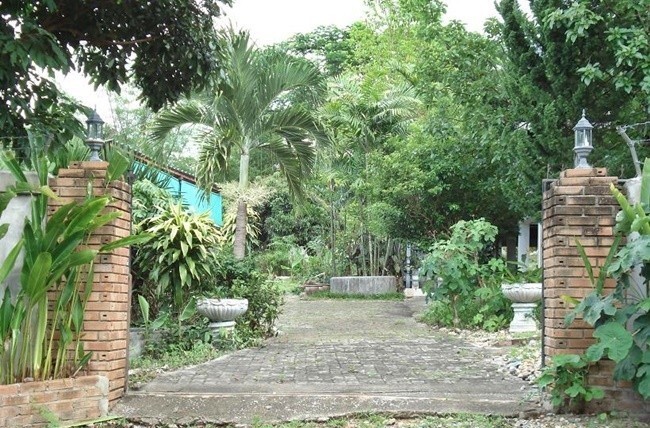  ที่ดิน สำหรับขาย ใน ในเมือง, เมืองลำพูน, ลำพูน - Image 8