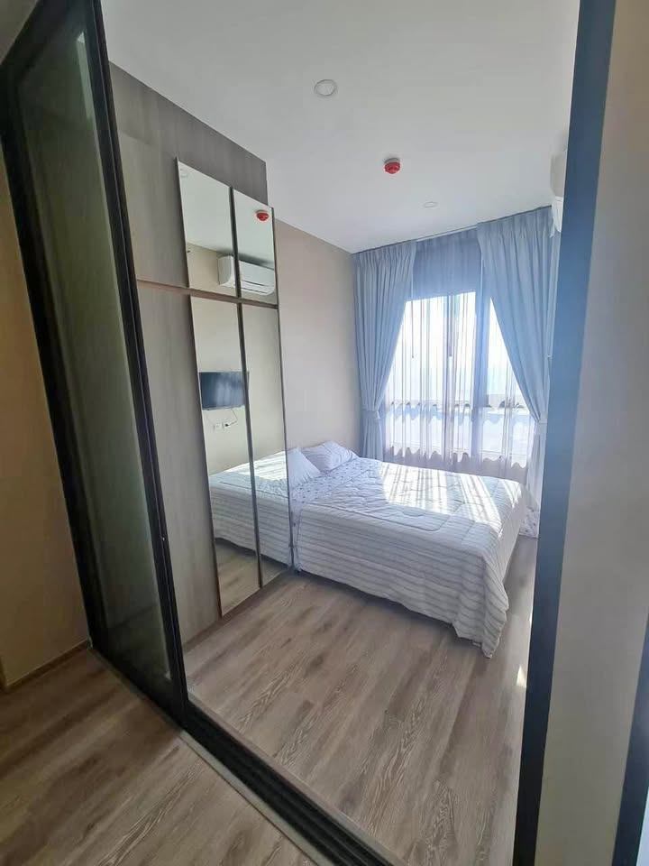 Knightsbridge Prime Onnut - Image 10
