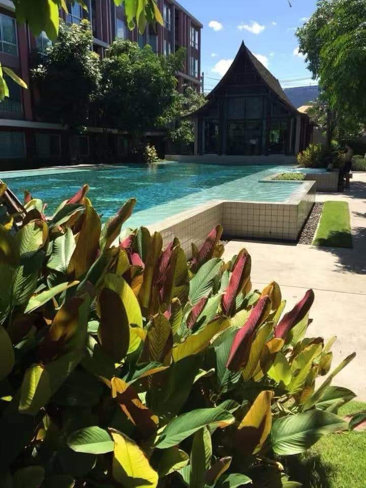 D VIENG Santitham - Image 7