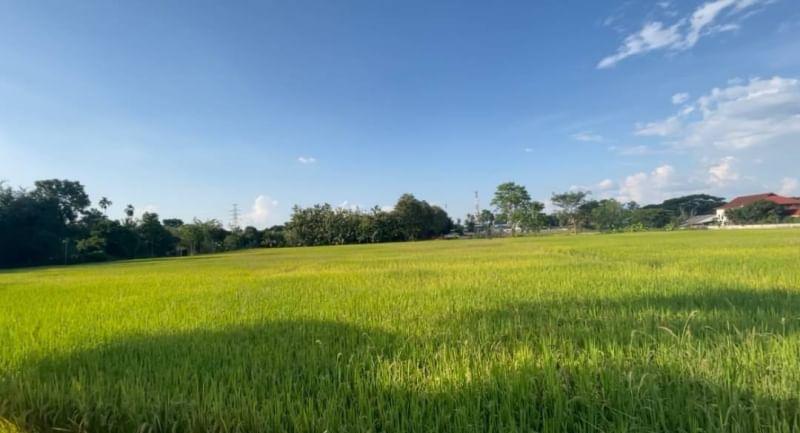  Land For Sale in San Sai Luang, San Sai, Chiang Mai - Image 5