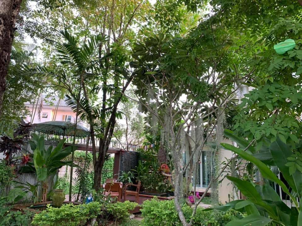 Land and Houses Park San Sai - Image 2