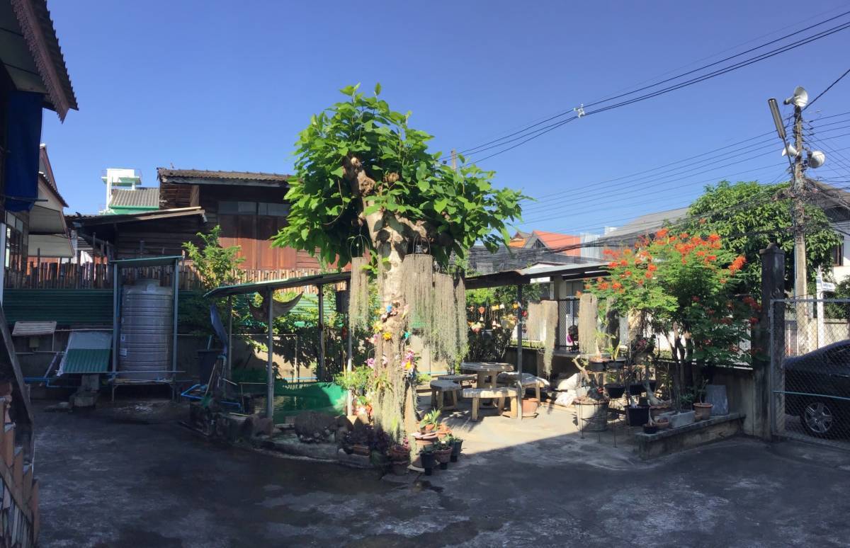 5 Bedroom House For Sale in Chang Moi, Mueang Chiang Mai, Chiang Mai - Image 7