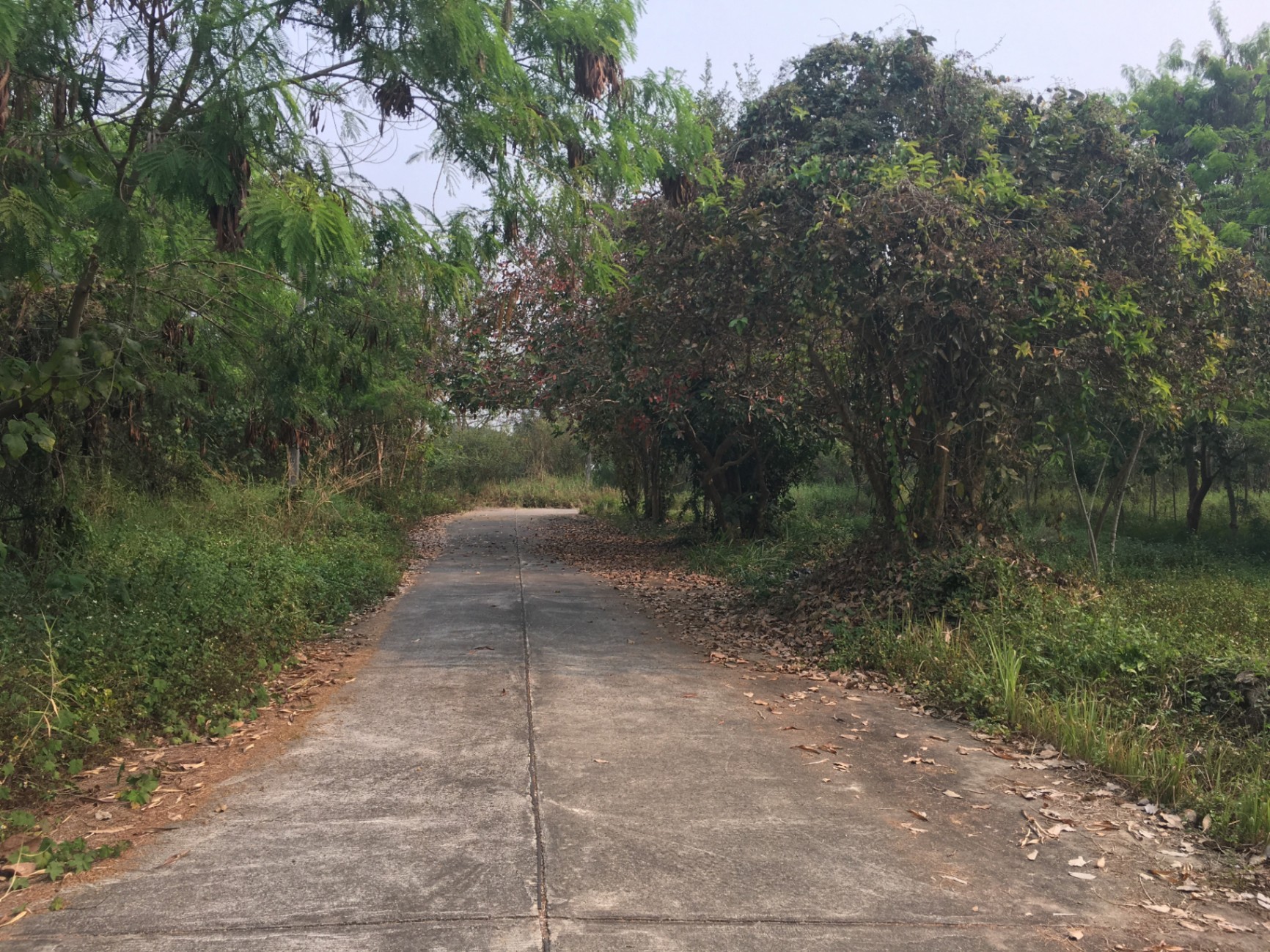  Land For Sale in Hang Dong, Hang Dong, Chiang Mai - Image 2