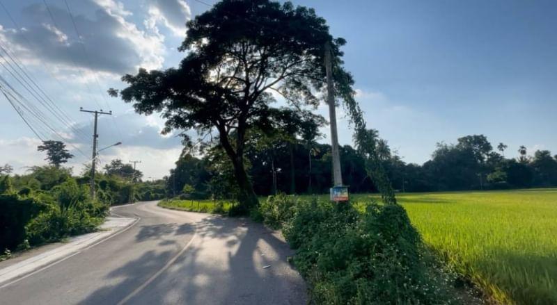  Land For Sale in San Sai Luang, San Sai, Chiang Mai - Image 6
