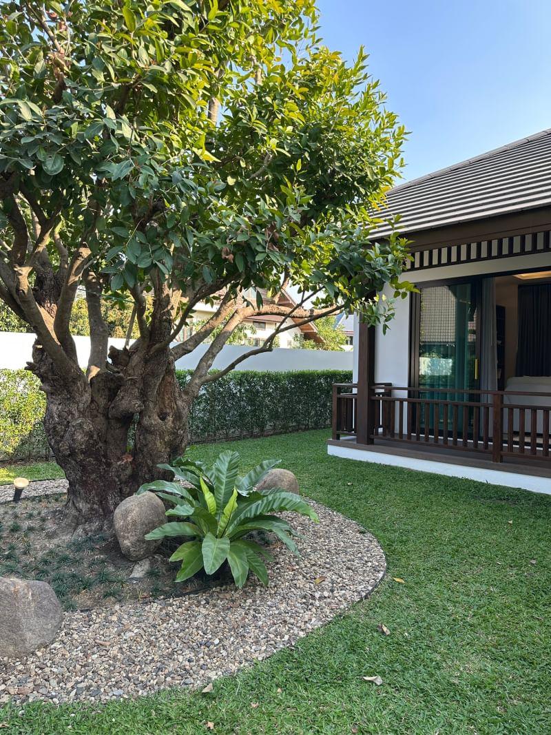 World Club Land - Image 4