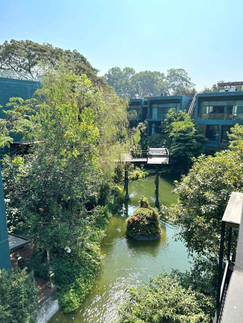 Cayla Residence - Image 19