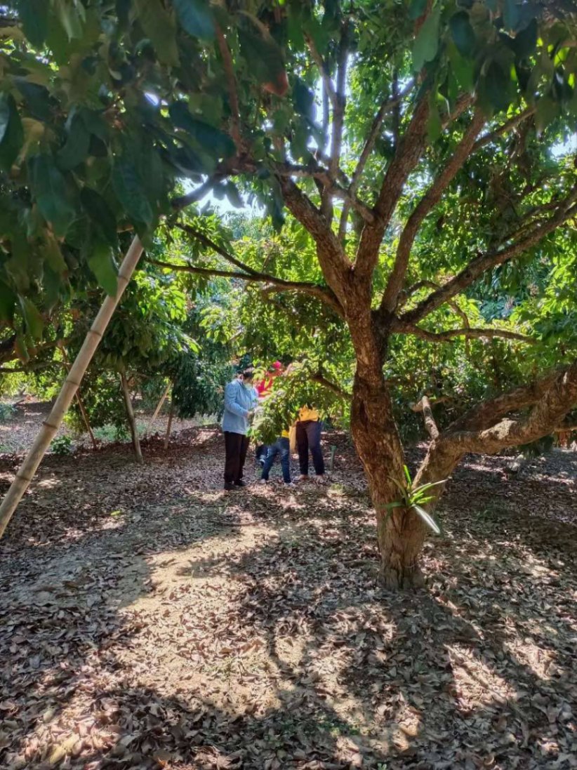  Land For Sale in Mae Win, Mae Wang, Chiang Mai - Image 2