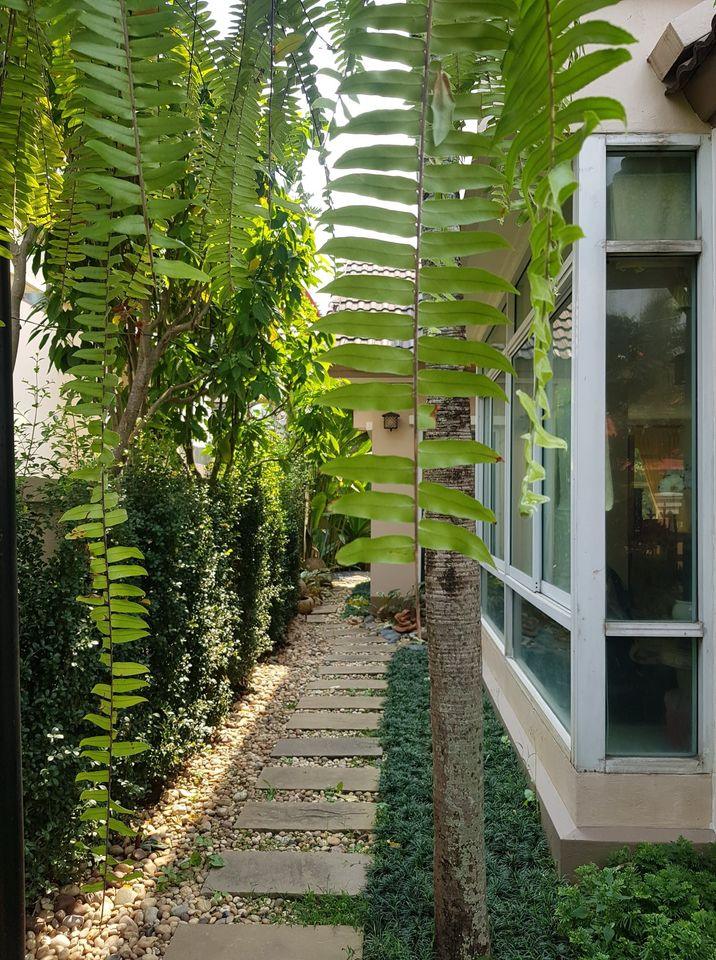 Laddarom Elegance Payap - Image 8