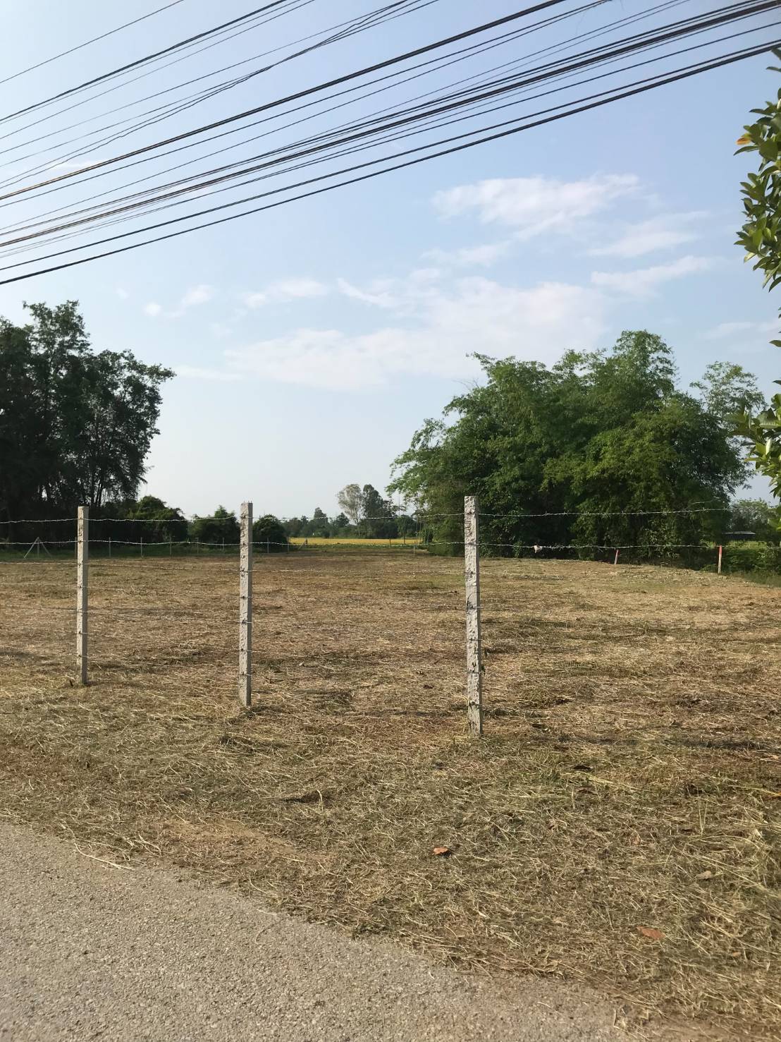  Land For Sale in Samran Rat, Doi Saket, Chiang Mai - Image 7
