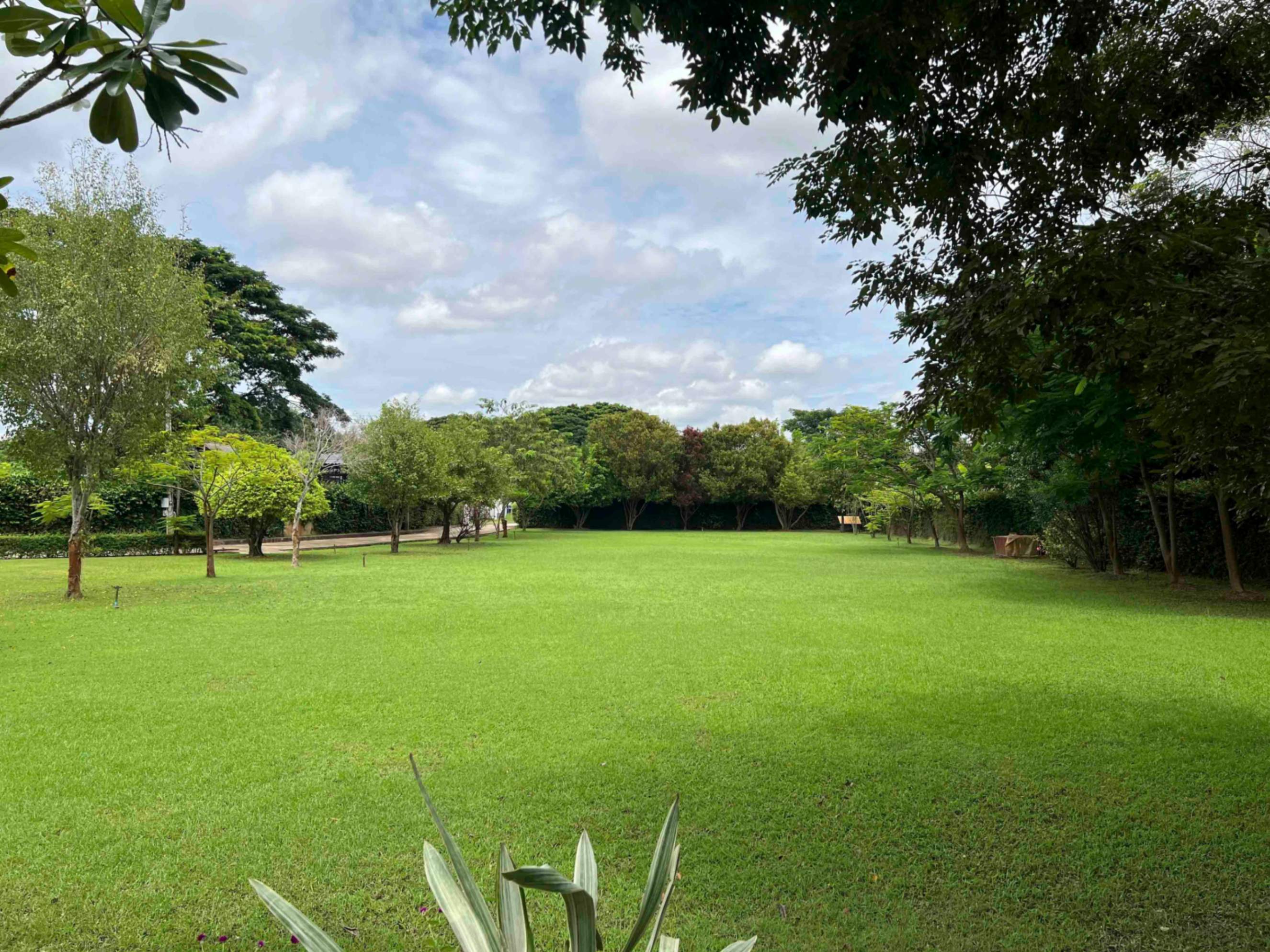 3 Bedroom House For Sale in Yang Noeng, Saraphi, Chiang Mai - Image 37