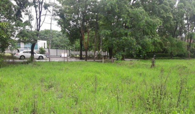  Land For Sale in Hang Dong, Hang Dong, Chiang Mai - Image 1