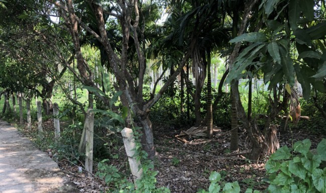  Land For Sale in Nong Han, San Sai, Chiang Mai - Image 3