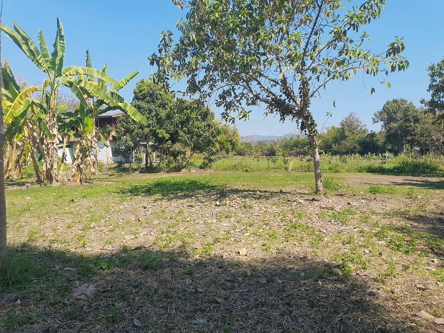  Land For Sale in Nong Han, San Sai, Chiang Mai - Image 5