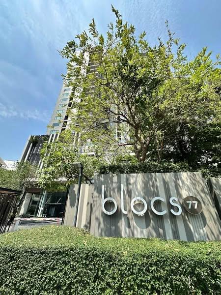 Blocs 77 - Image 12