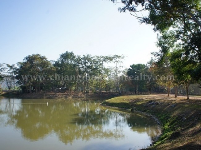  Land For Sale in Choeng Doi, Doi Saket, Chiang Mai - Image 9