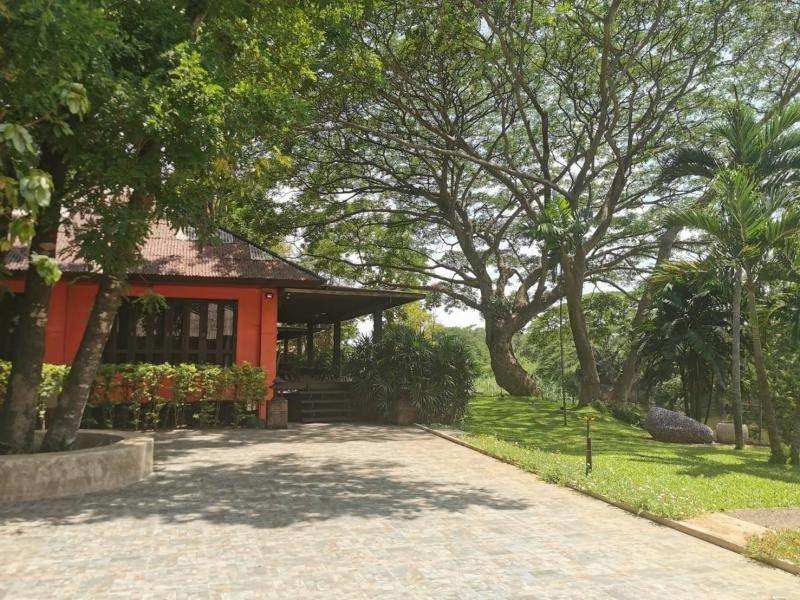 20 Bedroom House For Sale in Khua Mung, Saraphi, Chiang Mai - Image 18