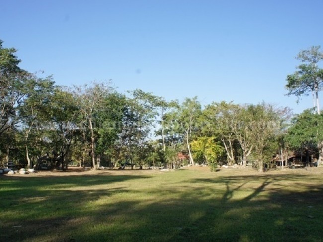  Land For Sale in Choeng Doi, Doi Saket, Chiang Mai - Image 2