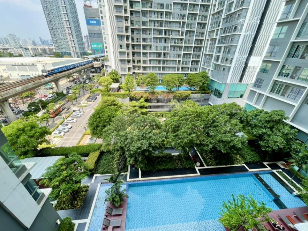 Ideo Mobi Sukhumvit 81 - Image 9