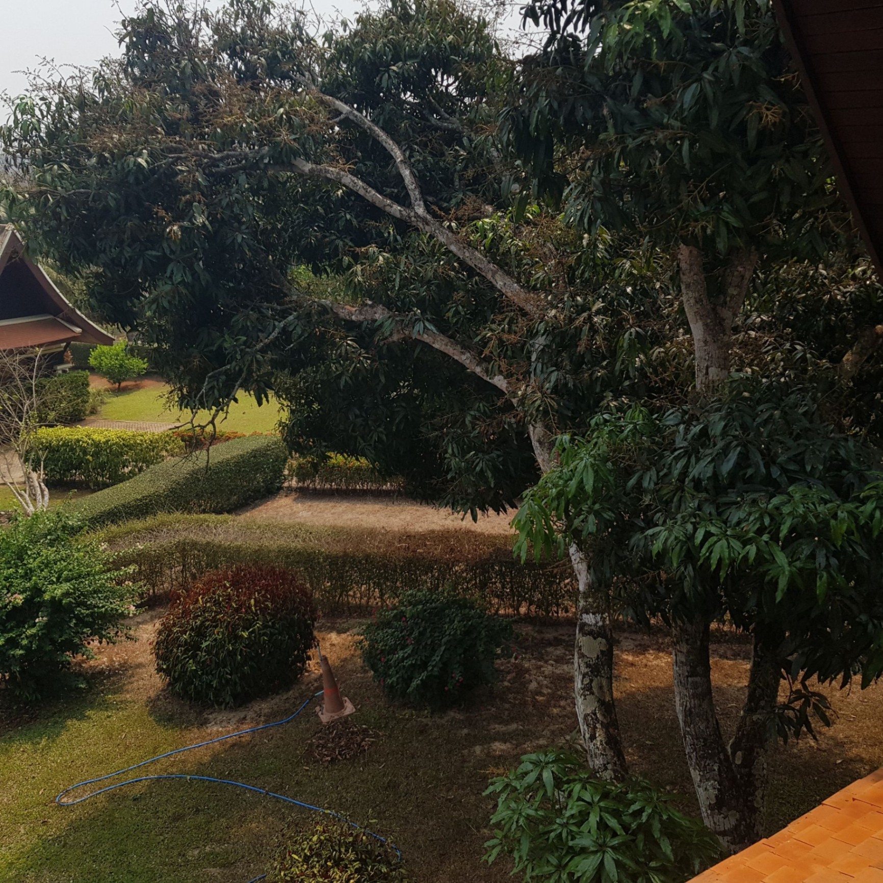 Pavana Resort - Image 12