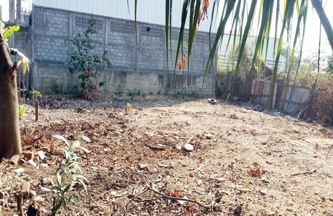  ที่ดิน สำหรับขาย ใน หนองป่าครั่ง, เมืองเชียงใหม่, เชียงใหม่ - Image 2