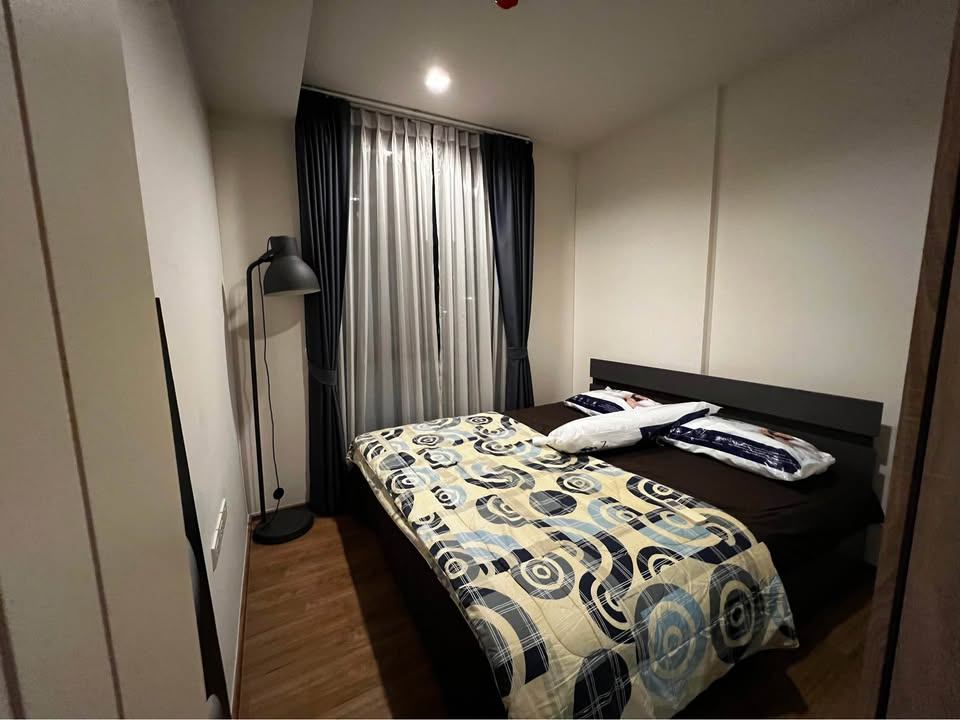 Hasu Haus - Image 4