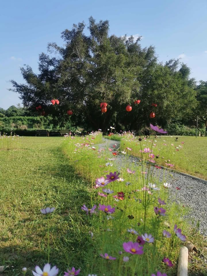 2 Bedroom House For Rent in Don Kaeo, Mae Rim, Chiang Mai - Image 11
