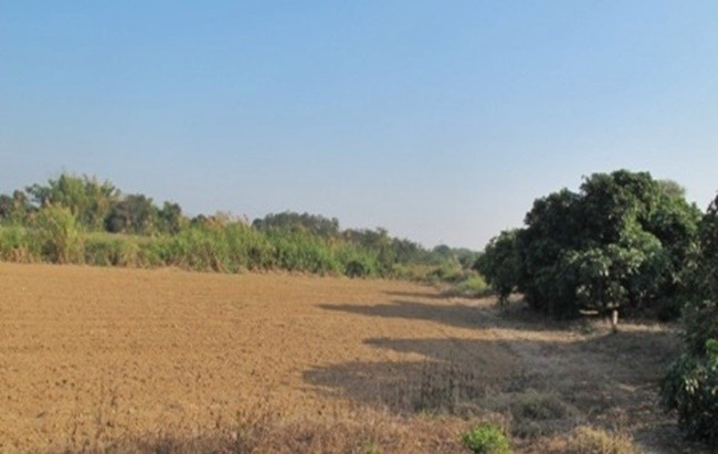  Land For Sale in Mae Raem, Mae Rim, Chiang Mai - Image 3