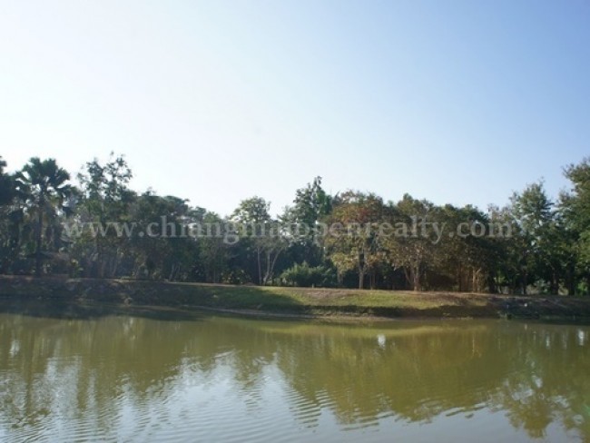  Land For Sale in Choeng Doi, Doi Saket, Chiang Mai - Image 7