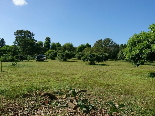  Land For Sale in Nam Phrae, Hang Dong, Chiang Mai - Image 3