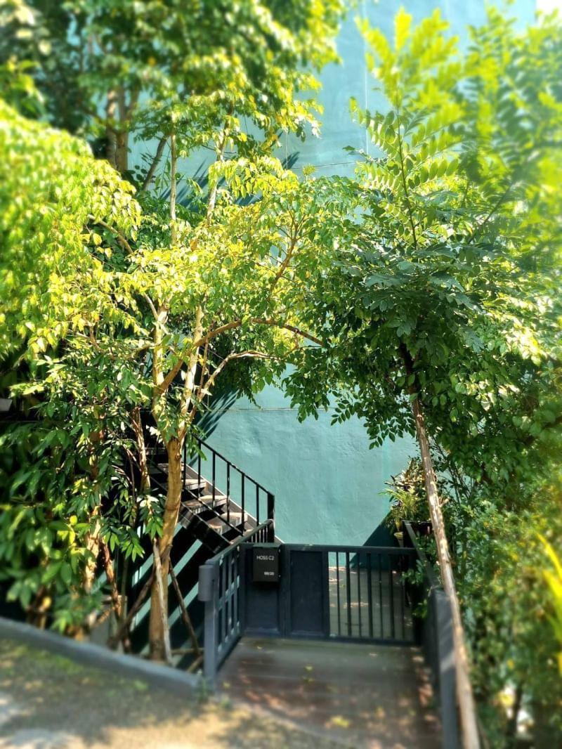 Cayla Residence - Image 17