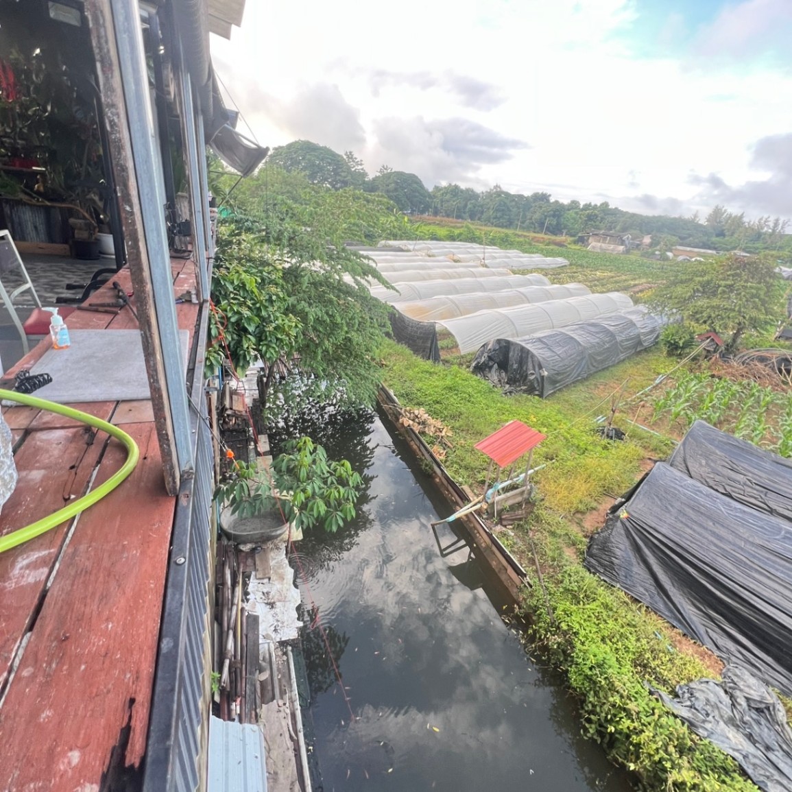 8 Bedroom House For Sale in San Pong, Mae Rim, Chiang Mai - Image 12