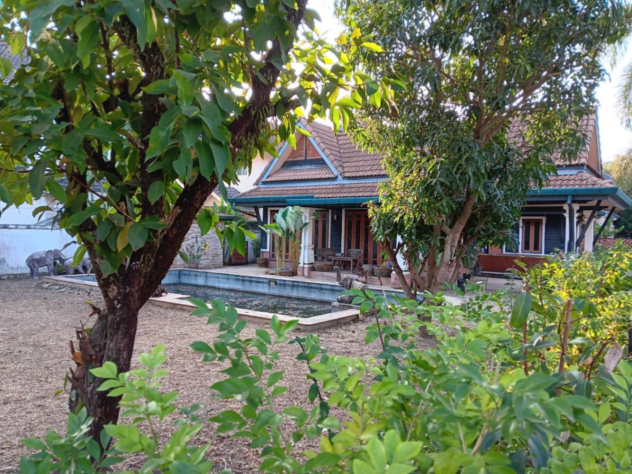 Karnkanok 2 - Image 12