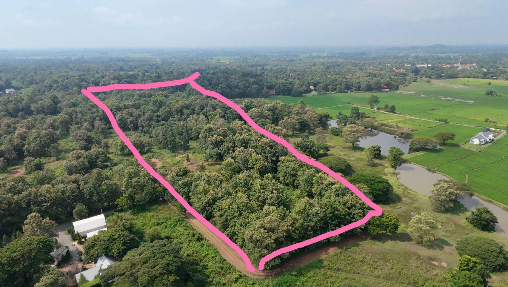  Land For Sale in Luang Nuea, Doi Saket, Chiang Mai - Image 2