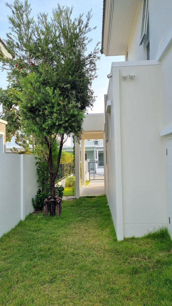 3 ห้องนอน บ้านเดี่ยว สำหรับเช่า ใน บางแก้ว, บางพลี, สมุทรปราการ - Image 12