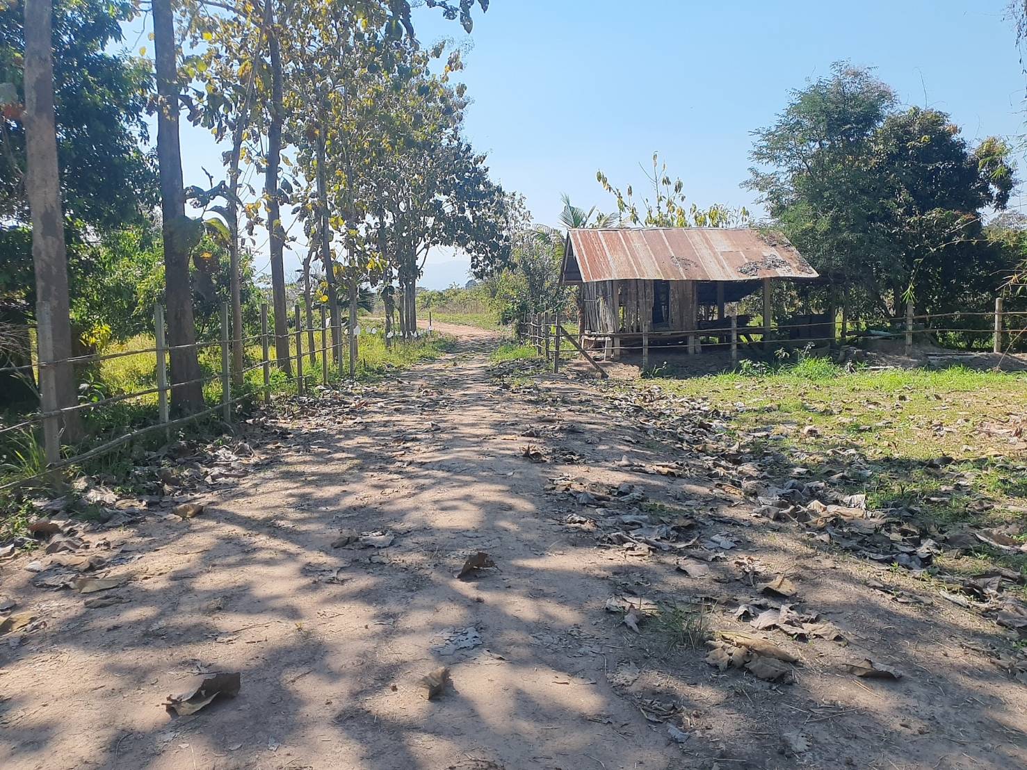  Land For Sale in Nong Han, San Sai, Chiang Mai - Image 1