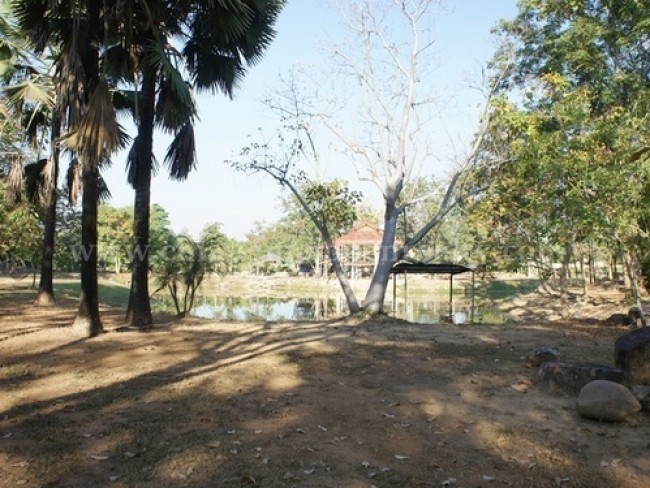  Land For Sale in Choeng Doi, Doi Saket, Chiang Mai - Image 3