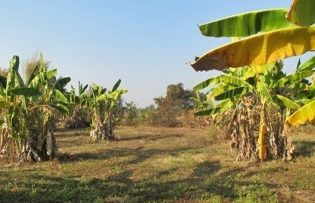  Land For Sale in Mae Raem, Mae Rim, Chiang Mai - Image 14