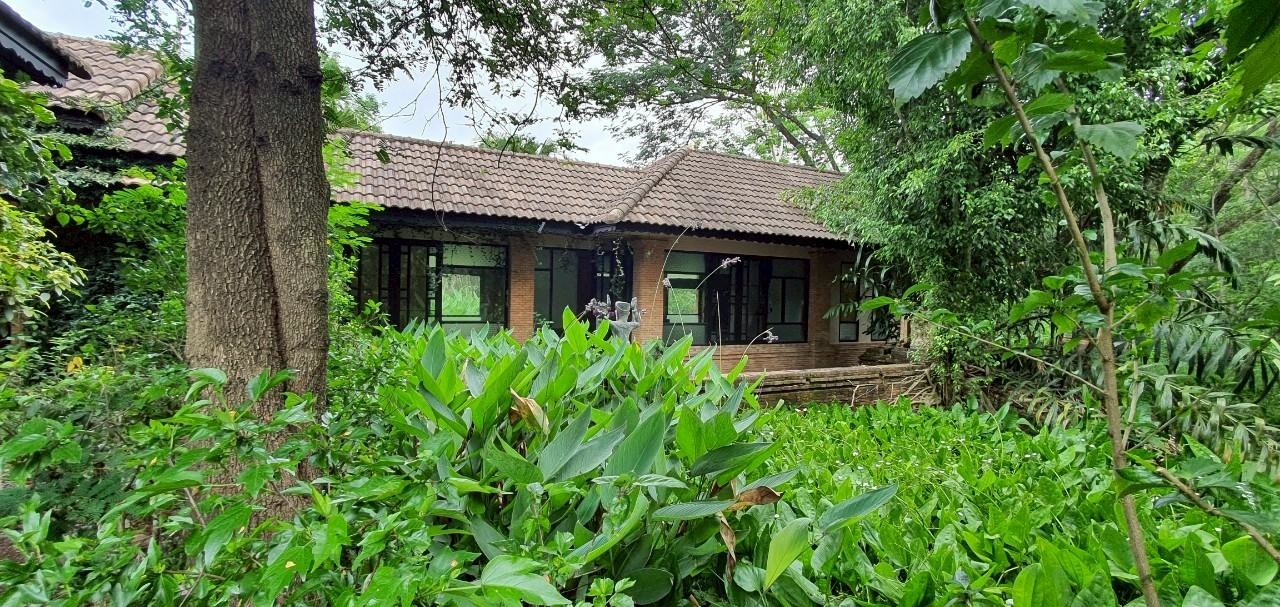 8f610942-0deb-41aa-83c2-bd6440236958