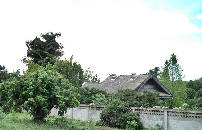  ที่ดิน สำหรับขาย ใน ในเมือง, เมืองลำพูน, ลำพูน - Image 4