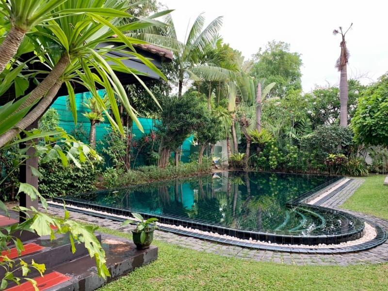 3 Bedroom House For Sale in San Pu Loei, Doi Saket, Chiang Mai - Image 11