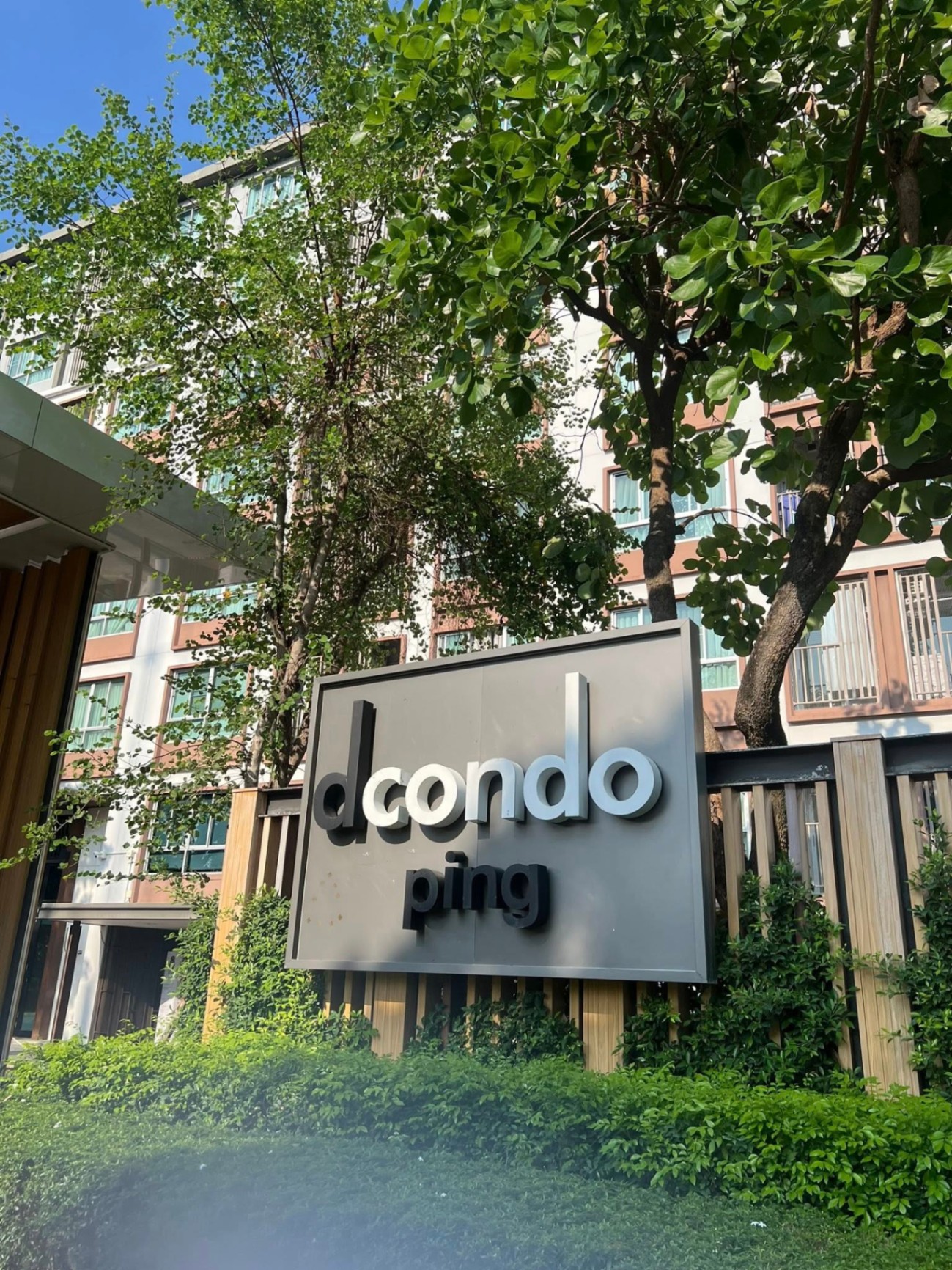 Dcondo Ping - Image 10