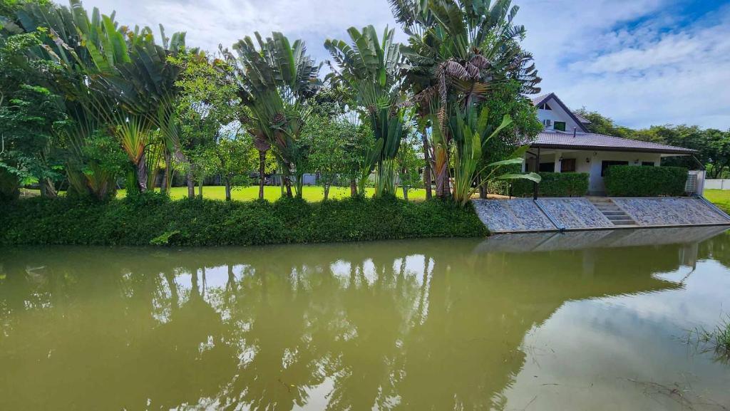 5 Bedroom House For Rent in Pa Pong, Doi Saket, Chiang Mai - Image 2