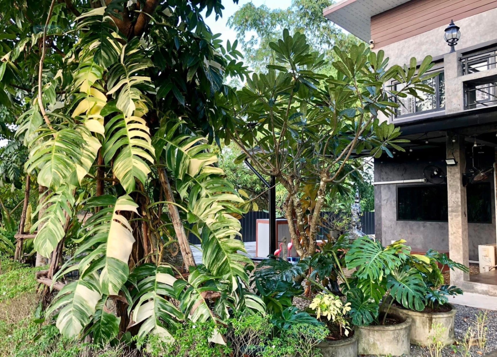 3 卧室 独立房屋 出租 在  - Image 18
