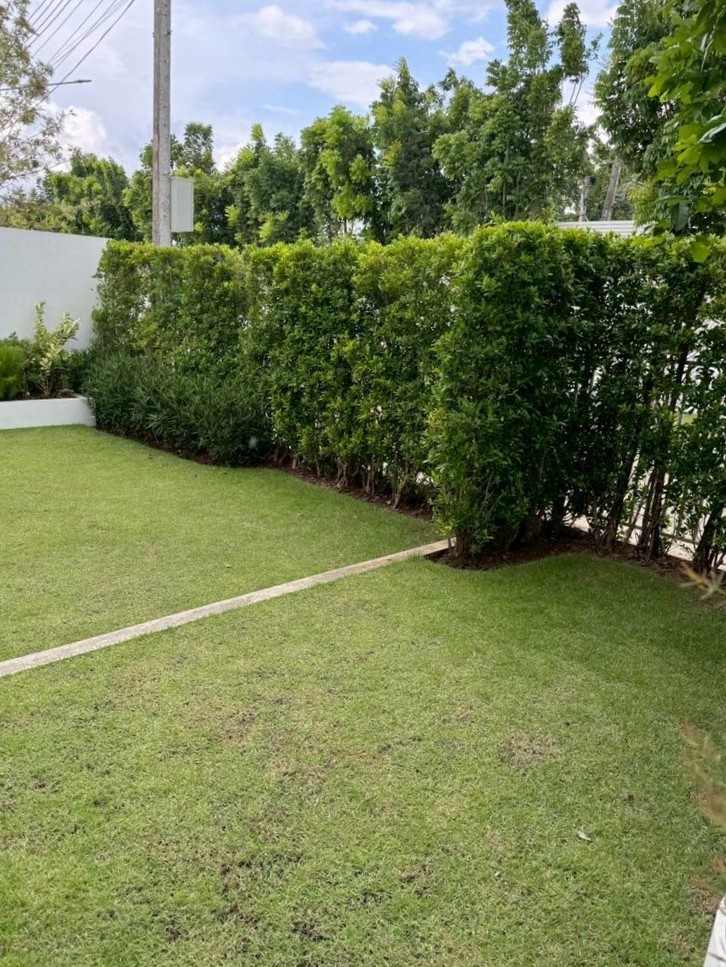 3 Bedroom House For Sale in Mae Hia, Mueang Chiang Mai, Chiang Mai - Image 8