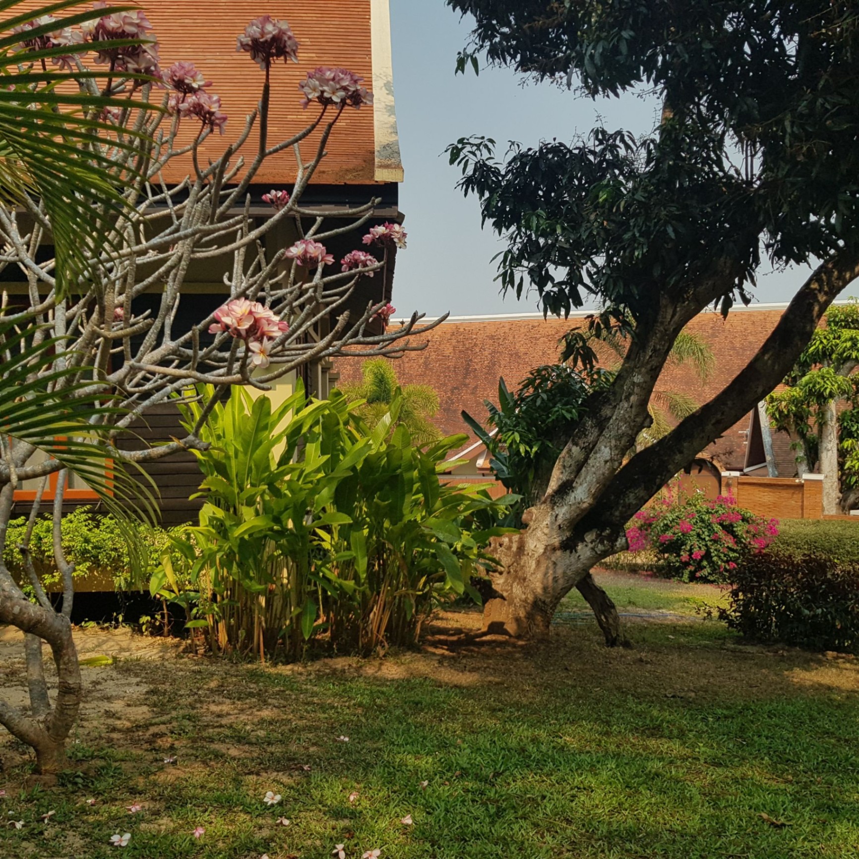 Pavana Resort - Image 15