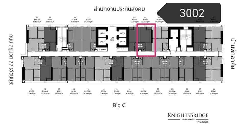 Knightsbridge Prime Onnut - Image 8