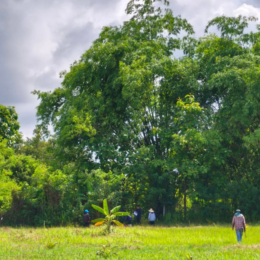  Land For Sale in Ban Waen, Hang Dong, Chiang Mai - Image 3