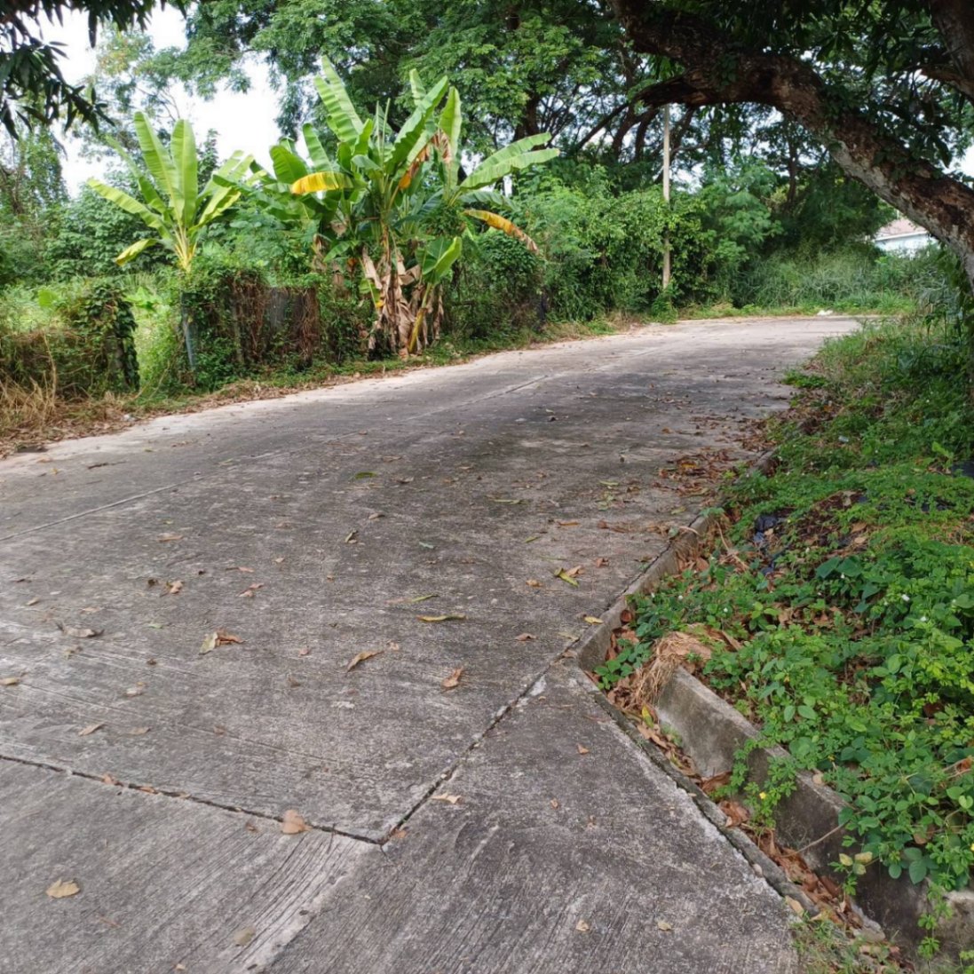  Land For Sale in Pa Phai, San Sai, Chiang Mai - Image 5
