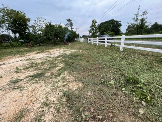  Land For Sale in Tha Sala, Mueang Chiang Mai, Chiang Mai - Image 4